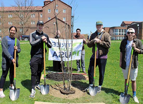 Tree planting for WEB 2